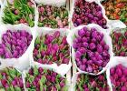С чего начать цветочный бизнес: основа и тонкости Что нужно знать о цветочном бизнесе